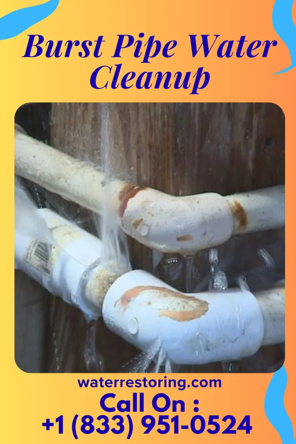 Burst Pipe Water Cleanup in Manele, HI