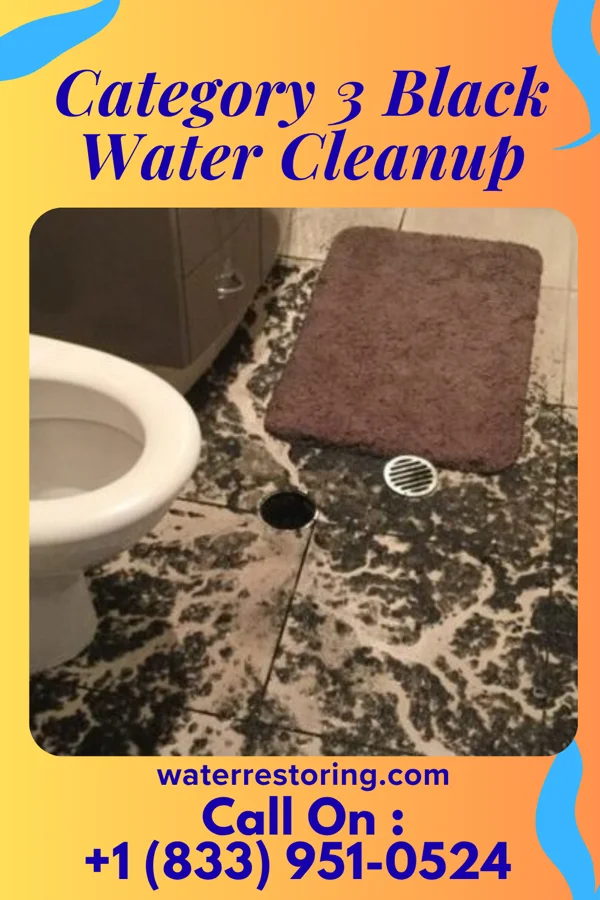Category 3 Black Water Cleanup in Manele, HI