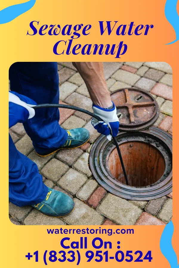 Sewage Water Cleanup in Manele, HI