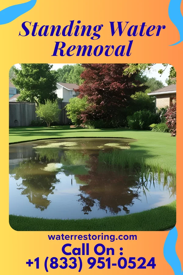 Standing Water Removal in Manele, HI